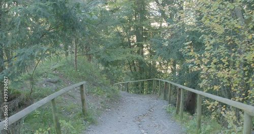 Walking down a hill in an autumnal forest. Path in the forest. Felsenegg. Zurich. Switzerland. photo