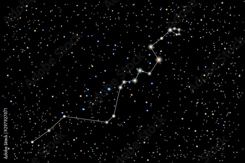 Vector illustration of the constellation Hydra on a starry black sky background. The astronomical cluster of stars in the Southern Celestial Hemisphere. Mystical character in Greek mythology