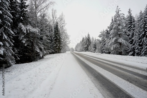 Beautiful winter landscape with snow-covered trees and road in Latvia.