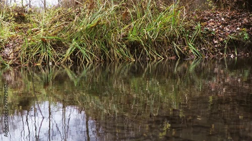 The ripples on the water small river in park