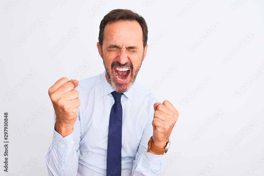 Middle age businessman wearing elegant tie standing over isolated white background very happy and excited doing winner gesture with arms raised, smiling and screaming for success. Celebration concept. Middle age businessman wearing elegant tie standing over isolated white background very happy and excited doing winner gesture with arms raised, smiling and screaming for success. Celebration concept.