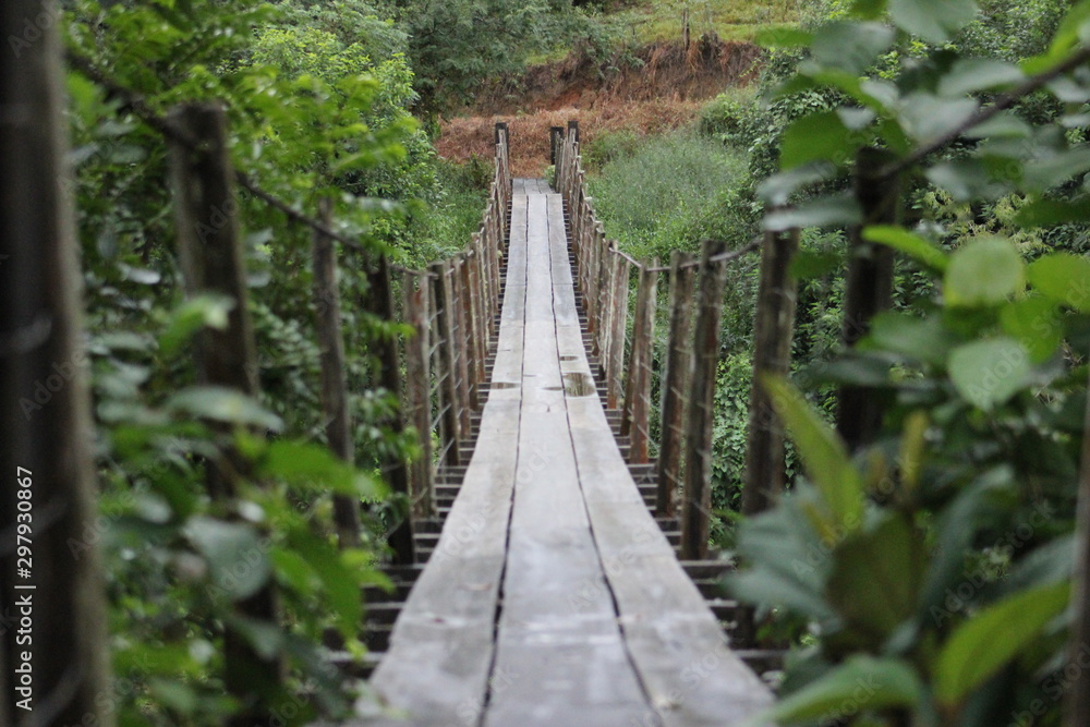 bridge in the forest bridge in the forest