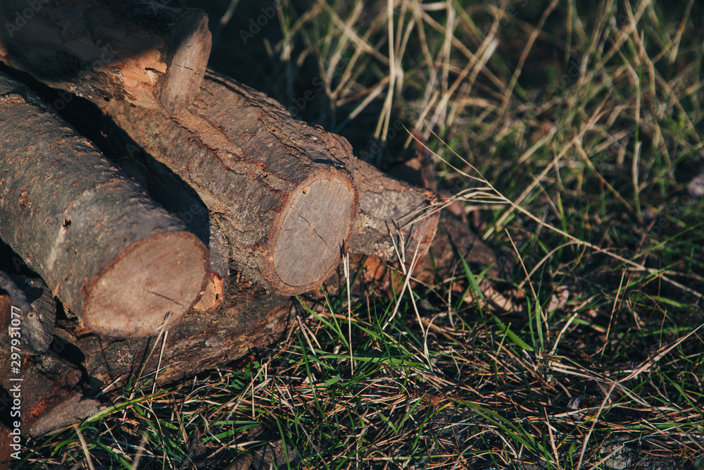 Stack of firewood in field on the grass. A lot of dry wood Stack of firewood in field on the grass. A lot of dry wood