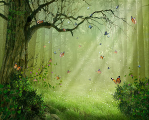 Gardinen Kinderzimmer Zauberwald. Foto-Manipulation. 3D-Rendering.  © susanafh