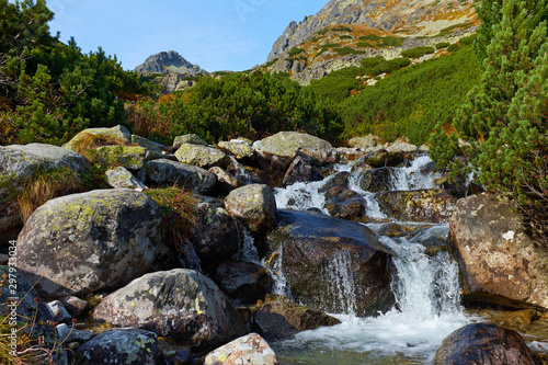 Mountain creek near to Skok waterfall in High Tatras National park, Slovakia