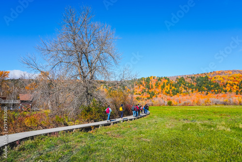 Colorful Fall Foliage at Cap Tourmente National Wildlife Area Park, St Joachim, Quebec, Canada photo