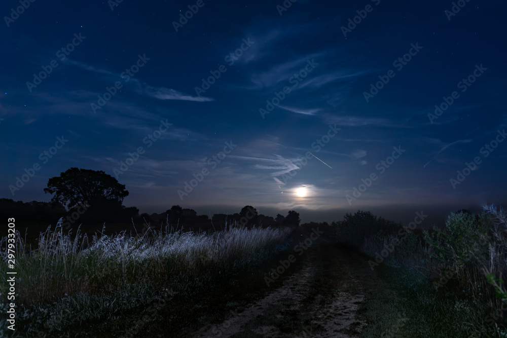Tall grass blowing in the wind along a path, as the moon rises with stars in the sky overhead Tall grass blowing in the wind along a path, as the moon rises with stars in the sky overhead