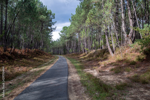 piste cyclable des landes de gascogne