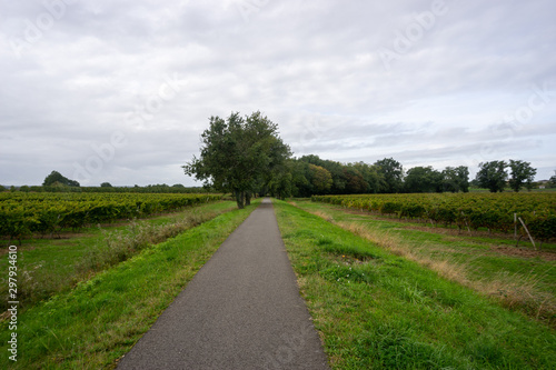 piste cyclable