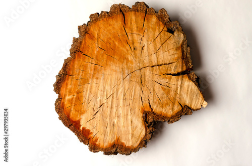 Sawn tree trunk on a white background. The top view.