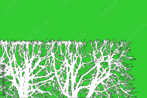 Square shaped bush. trimmed hedge with geometric shape. nature concept. tree branches silhouette clip art