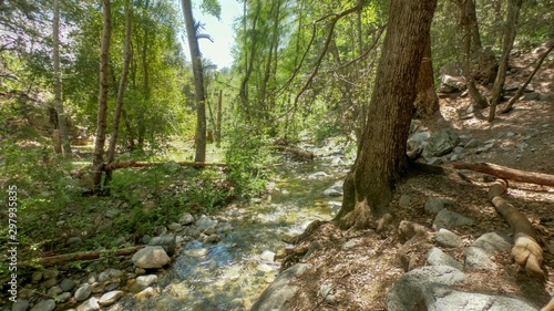 Nature Flowing Water