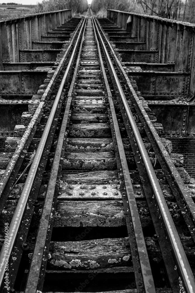 Fototapeta premium variadas