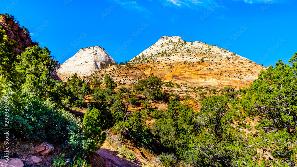 The white peaks of the sandstone Mountains and Mesas along the Zion-Mt.Carmel Highway on the East Rim of Zion National Park in Utah, United States The white peaks of the sandstone Mountains and Mesas along the Zion-Mt.Carmel Highway on the East Rim of Zion National Park in Utah, United States