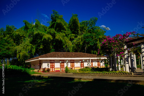 paisaje eje cafetero colombia biodiversidad bosque guadual quindio armenia pereira colombia