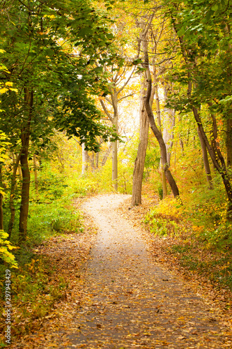 Beautiful romantic fall day with sunshine and colorful leaves on the trail © Lisa Young