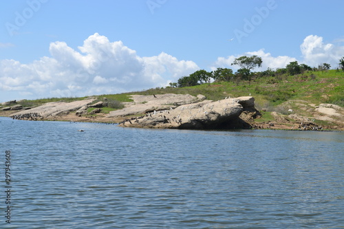 naturaleza  arboles  presa  lago  