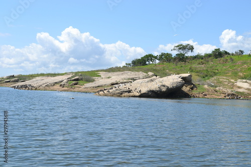 naturaleza  arboles  presa  lago  