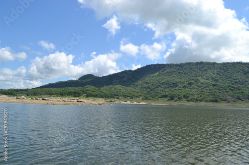 naturaleza  arboles  presa  lago  