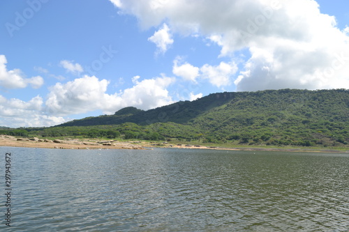 naturaleza  arboles  presa  lago  