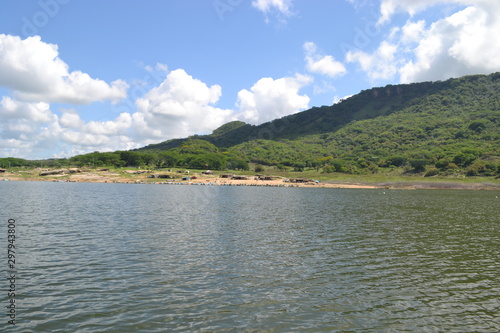 naturaleza  arboles  presa  lago  