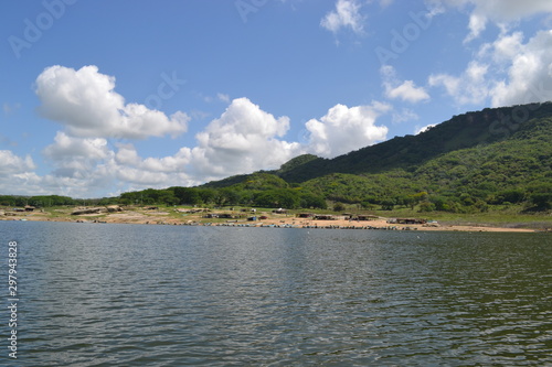 naturaleza  arboles  presa  lago  