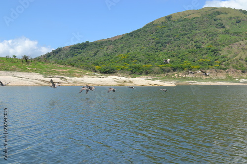 naturaleza  arboles  presa  lago  