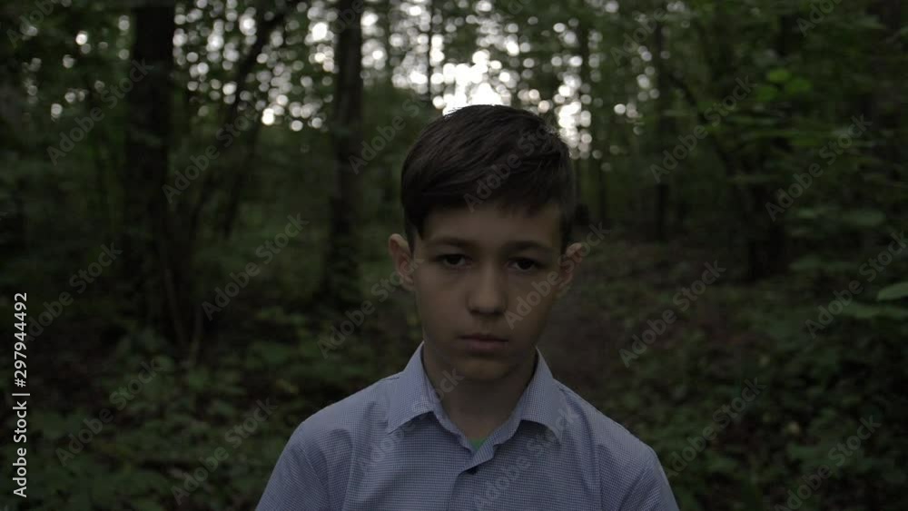portrait of sad boy in the evening forest slow motion portrait of sad boy in the evening forest slow motion