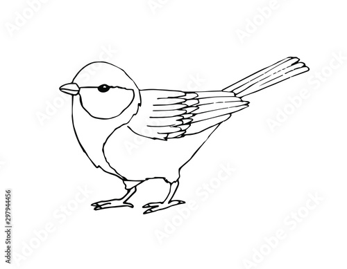Vector hand drawn sketch black tit bird isolated on white background