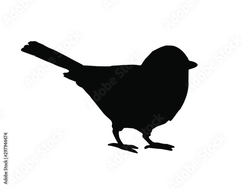 Vector black tit bird silhouette isolated on white background