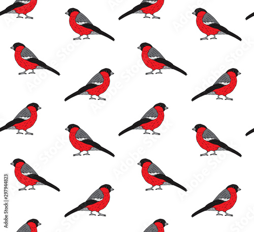 Vector seamless pattern of hand drawn sketch colored bullfinch isolated on white background