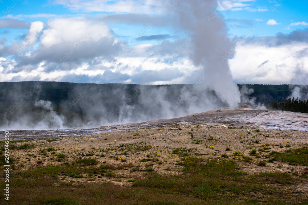 Fototapeta premium Old Faithful Geyser in Yellowstone National Park