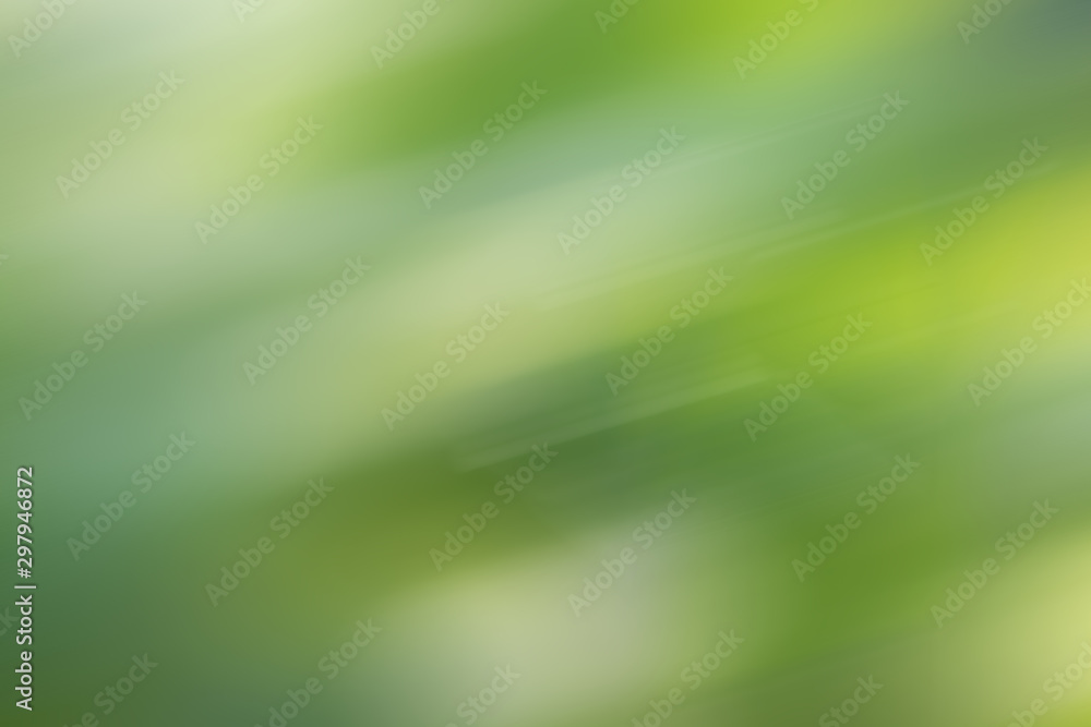 Fototapeta abstract green color of nature
