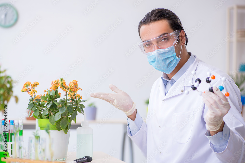 Young male chemist working in the lab Young male chemist working in the lab