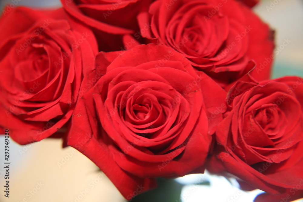 bouquet of red roses bouquet of red roses