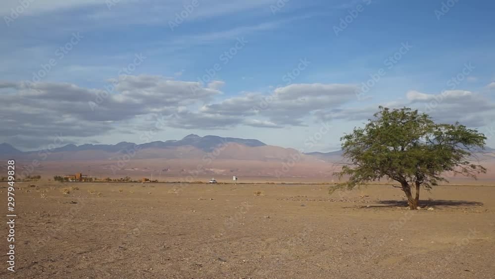 Camera pan over dry desert landscape with a road and one tree Camera pan over dry desert landscape with a road and one tree