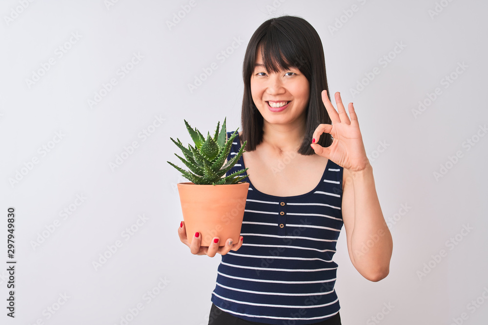 Young beautiful Chinese woman holding cactus pot over isolated white background doing ok sign with fingers, excellent symbol Young beautiful Chinese woman holding cactus pot over isolated white background doing ok sign with fingers, excellent symbol