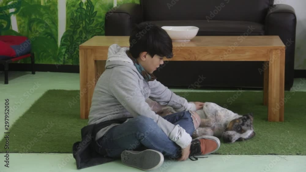 kid playing with a puppy before adoption kid playing with a puppy before adoption