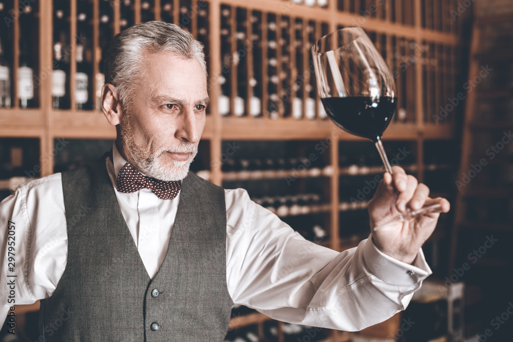Obraz premium Sommelier Concept. Senior man standing checking red wine quality satisfied