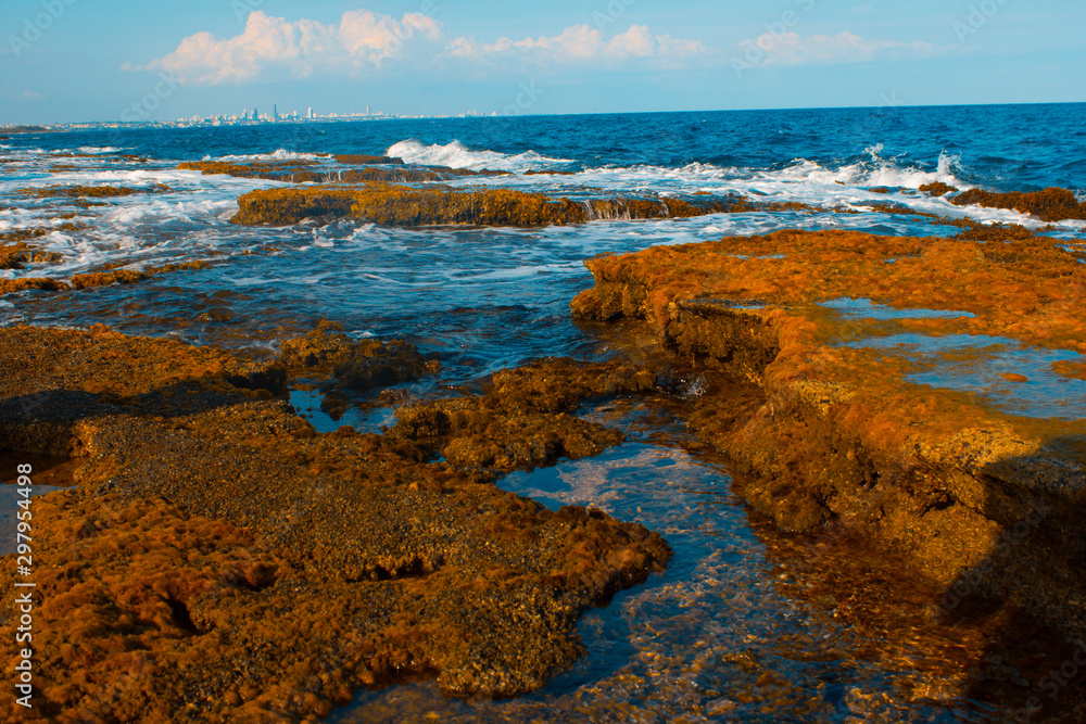 reef, coast and waves