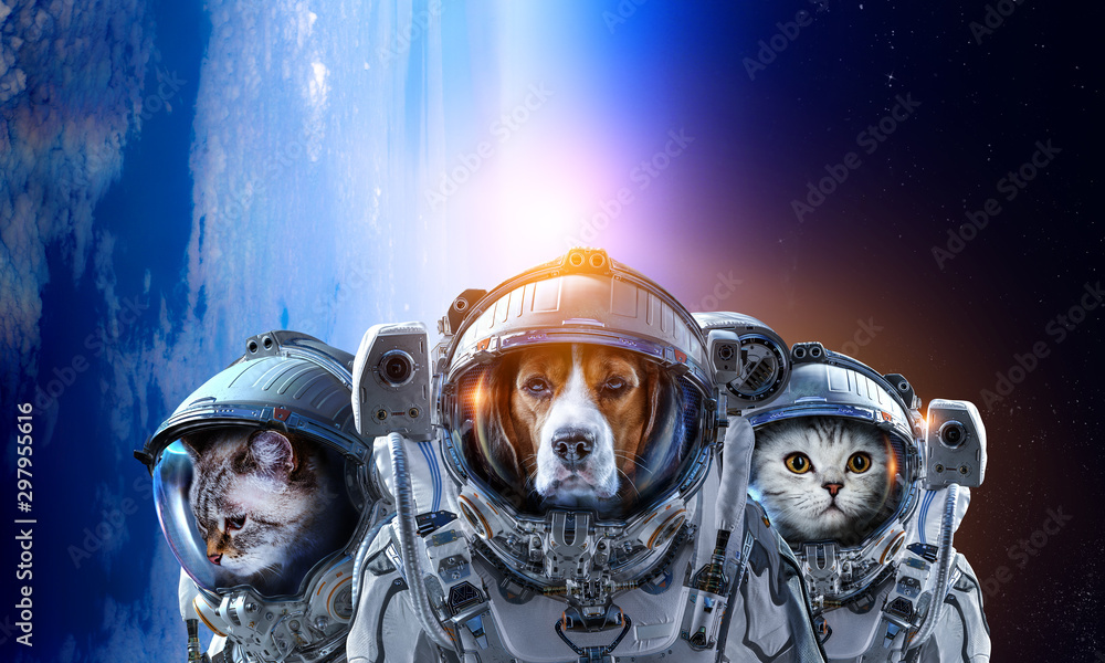 First trip to space. Mixed media First trip to space. Mixed media