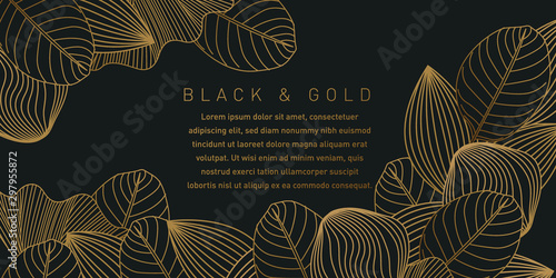 Black and Gold Pattern Background