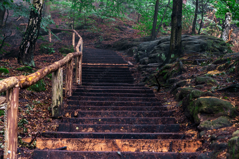 Wooden staircase leading up in the fabulous forests of Saxon Switzerland, Germany.