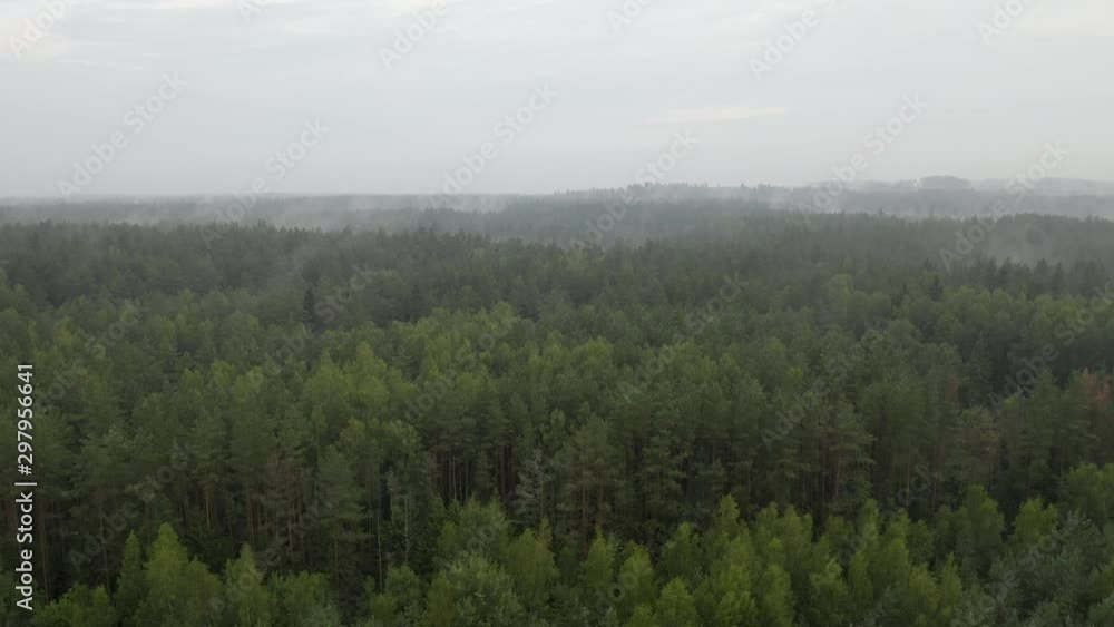Drone flight over foggy woods Drone flight over foggy woods