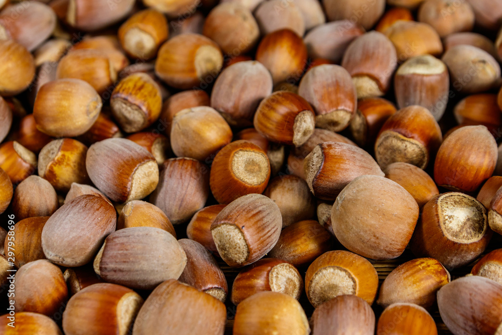 Food background of the whole hazelnuts Food background of the whole hazelnuts