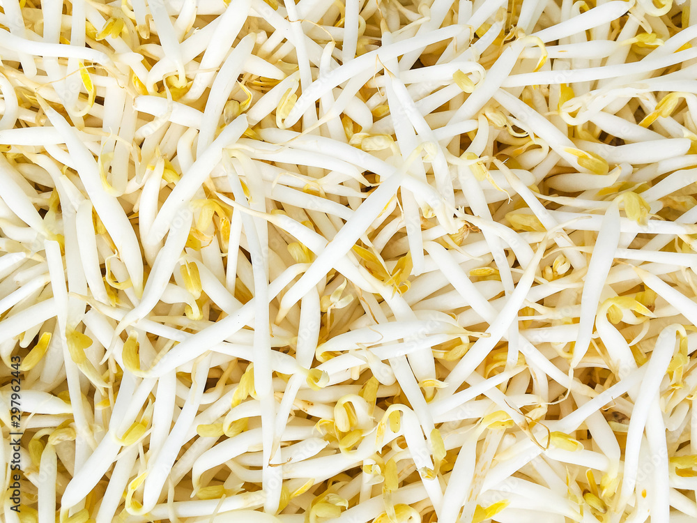 Bean sprouts texture background, vegetables concept Bean sprouts texture background, vegetables concept