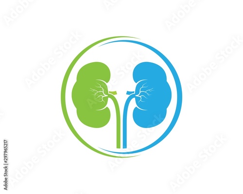 kidney icon vector illustration design