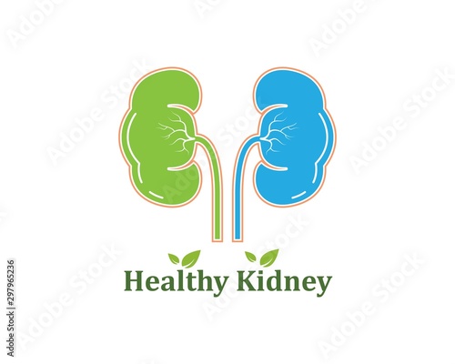 kidney icon vector illustration design