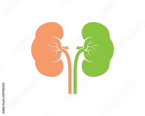kidney icon vector illustration design