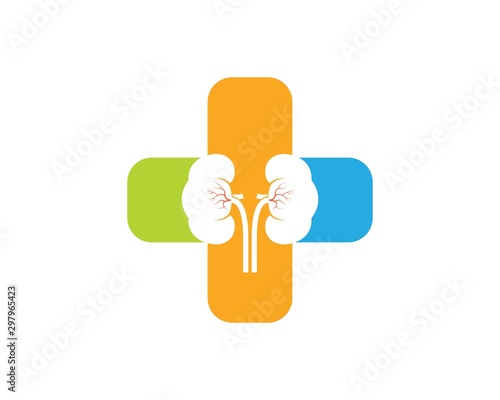 kidney icon vector illustration design